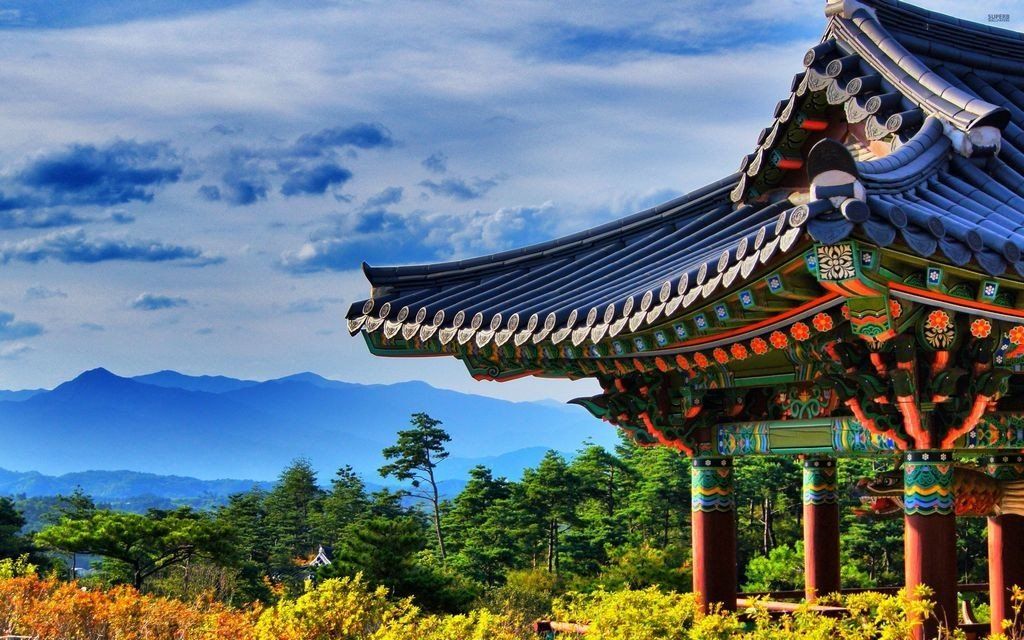 korea tour